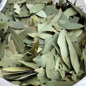 Bay Leaves Regular