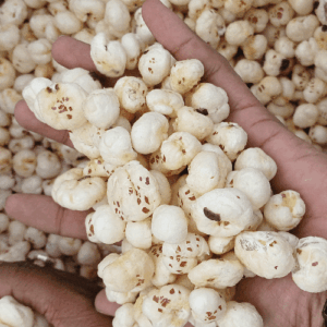 Foxnut Hand-Picked