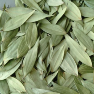 Bay Leaves Hand-Picked